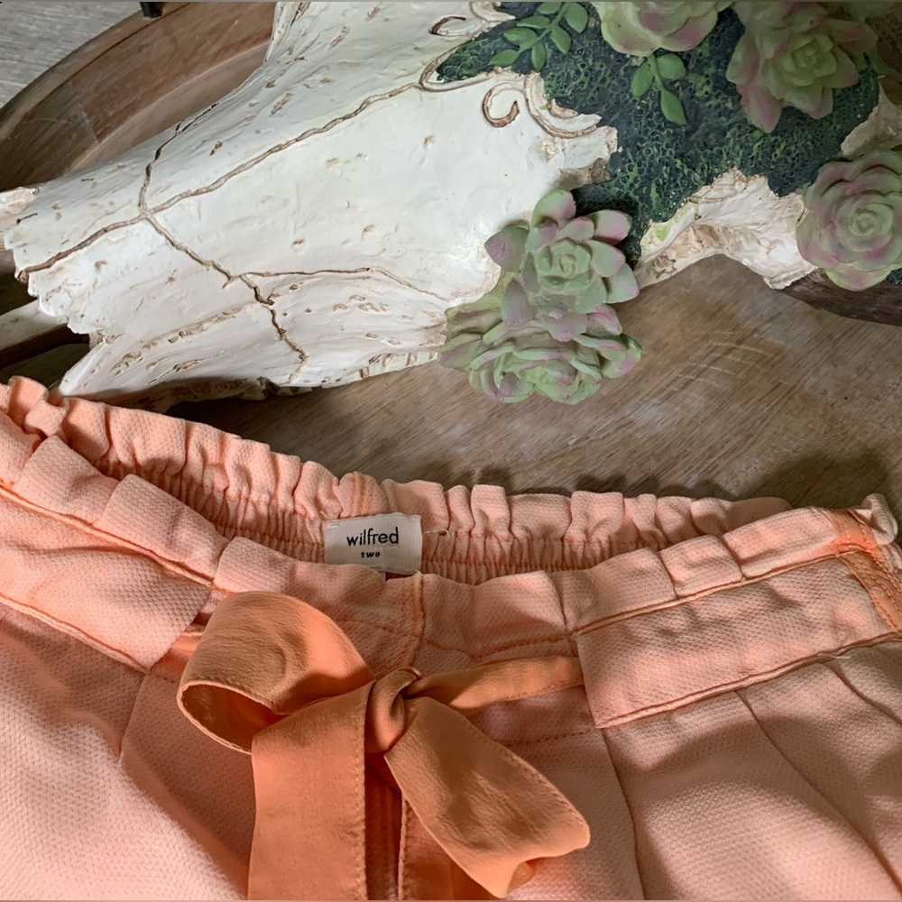 Aritzia skirt with silk trim